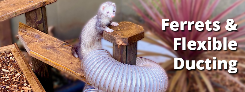 Flexible ducting for Ferrets? | Dust Spares
